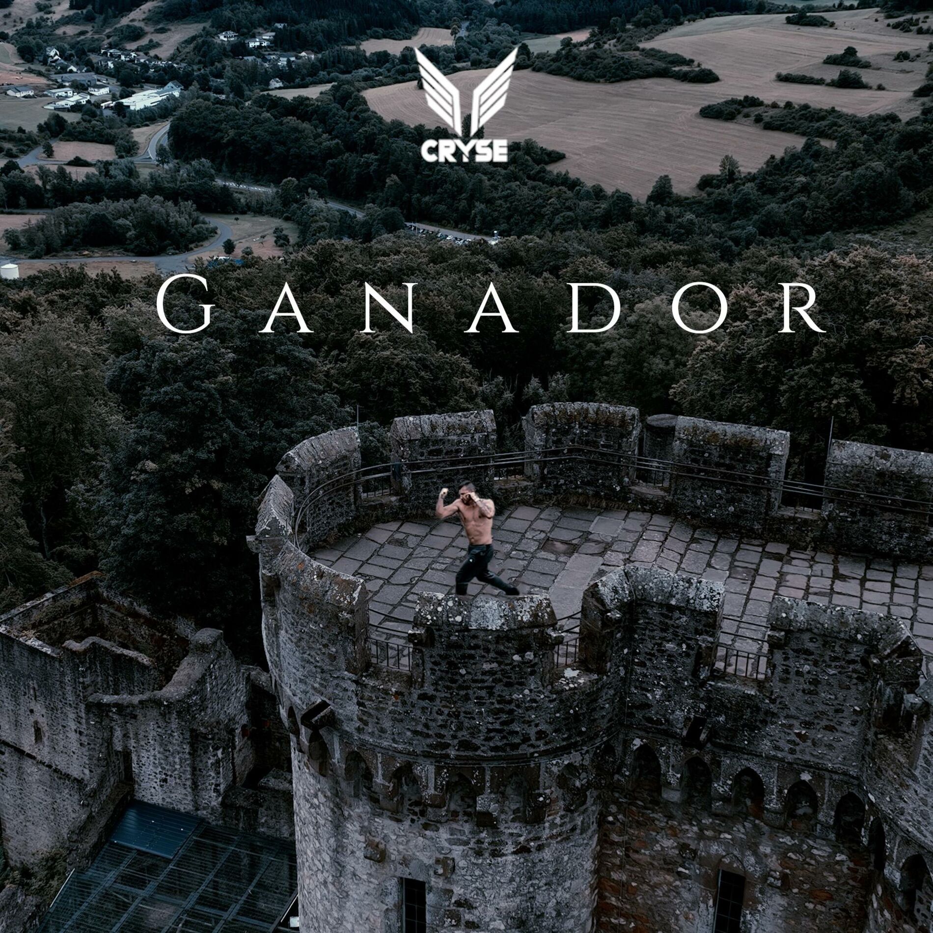 Album cover of Ganador