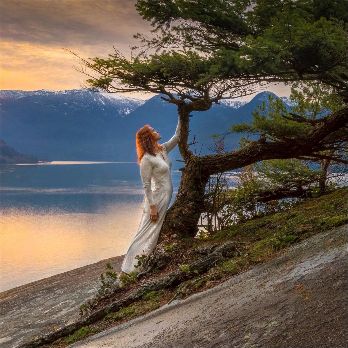 Album cover of Mountain Song