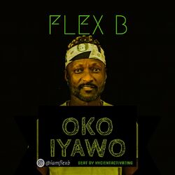 Cover of Oko Iyawo