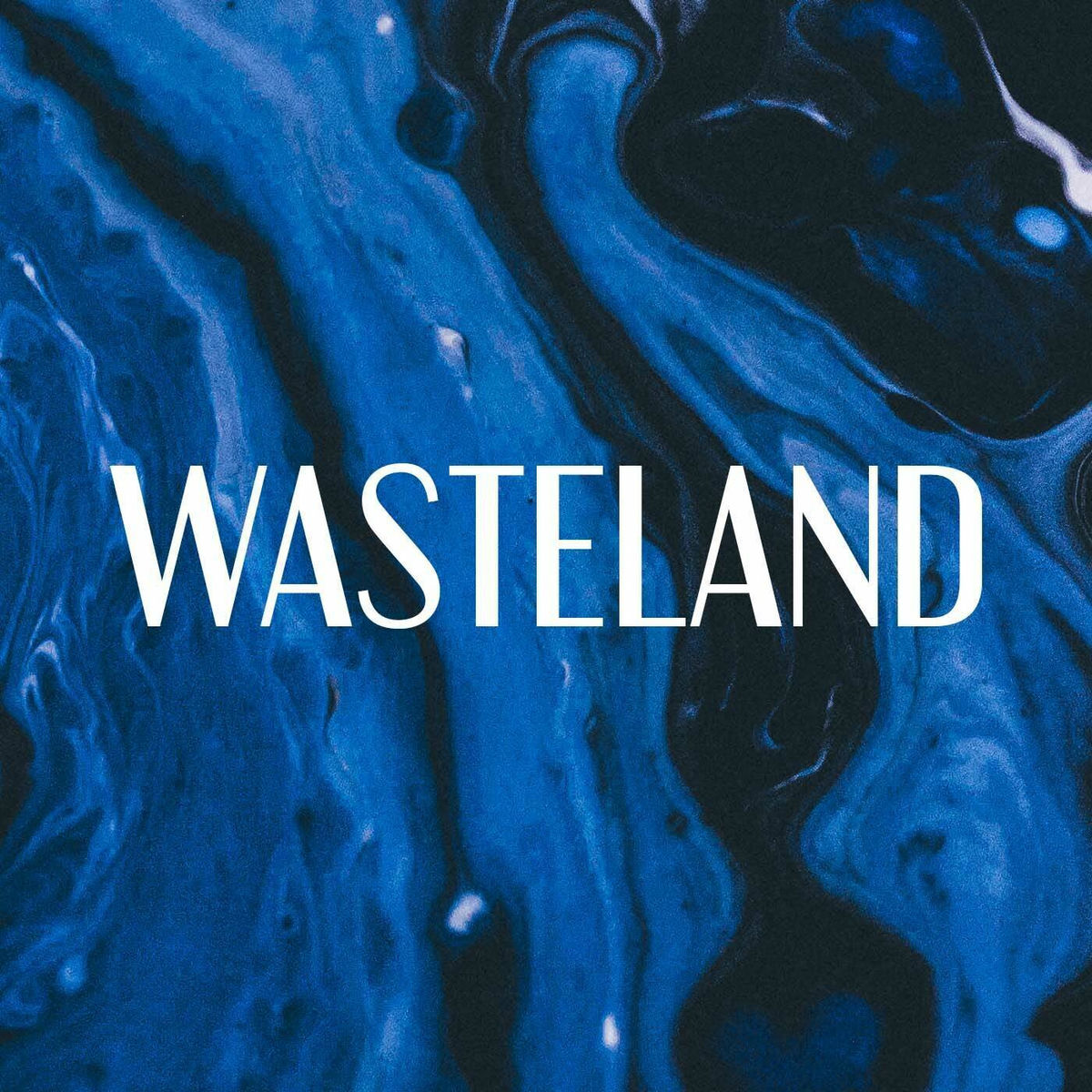 Album cover of Wasteland ( From the series 