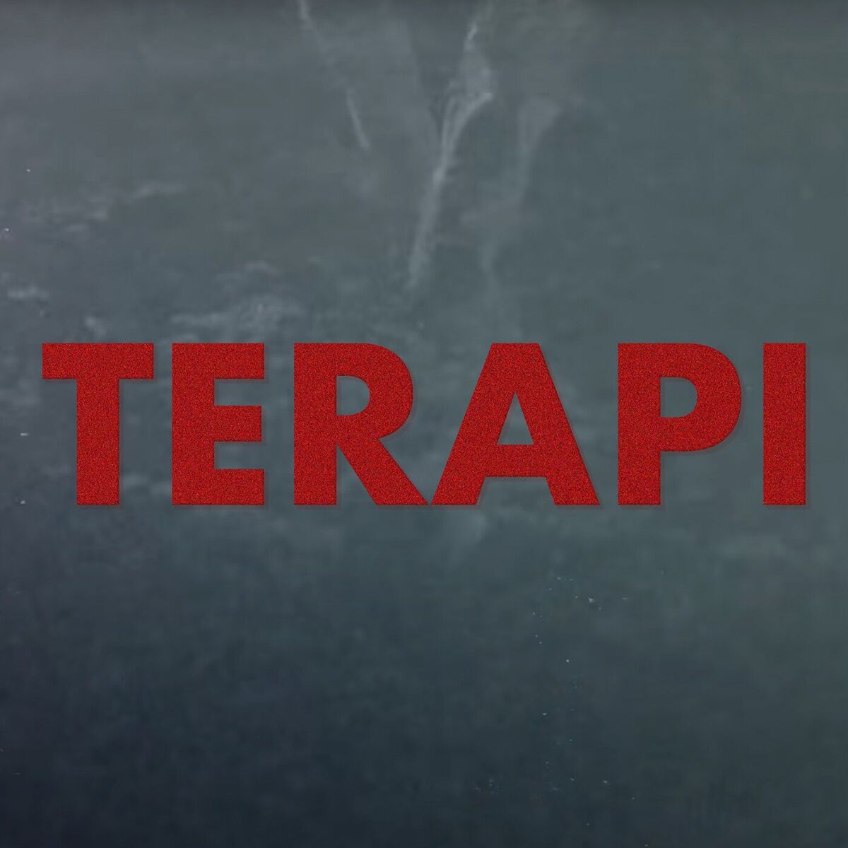 Album cover of Terapi
