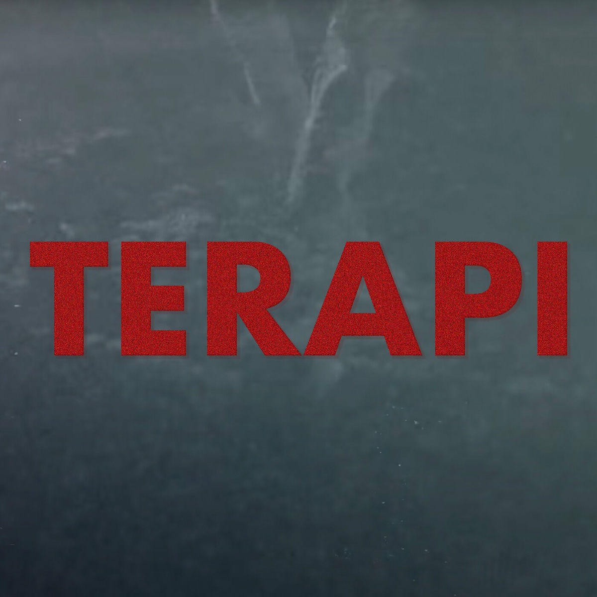 Album cover of Terapi