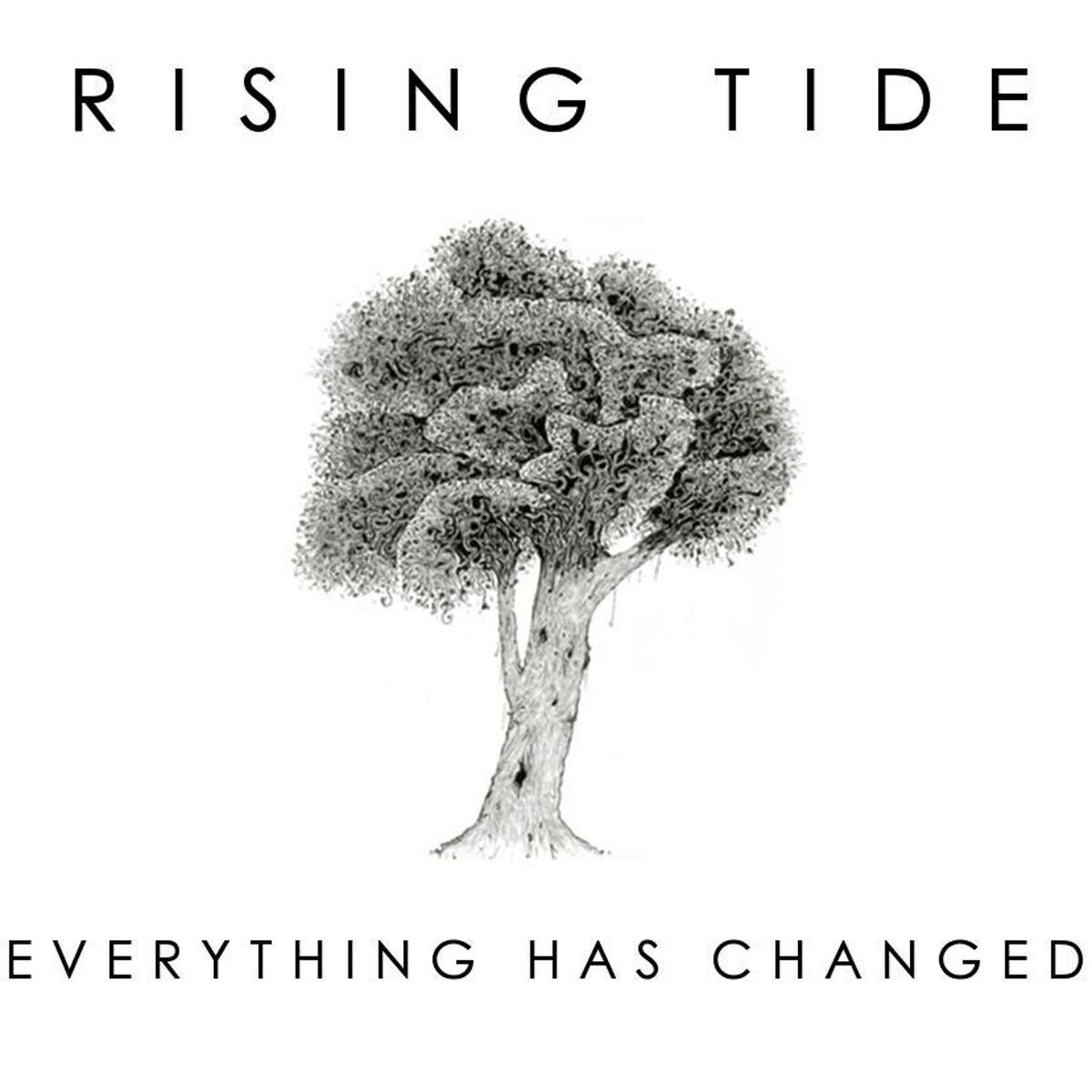 Album cover of Everything Has Changed