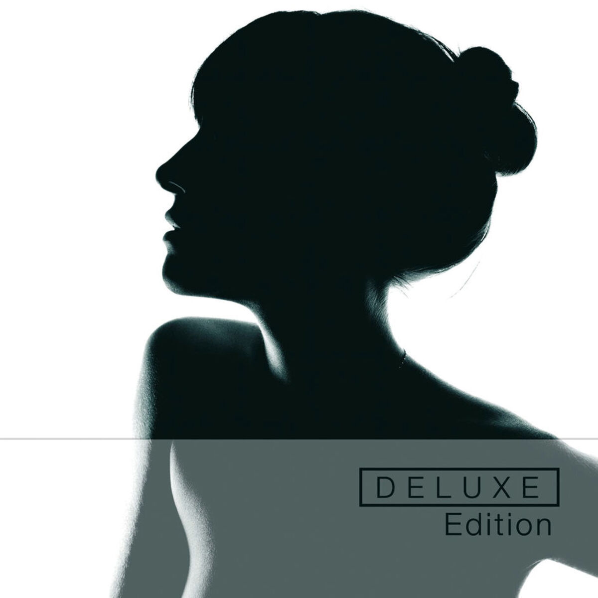 Album cover of The Reminder