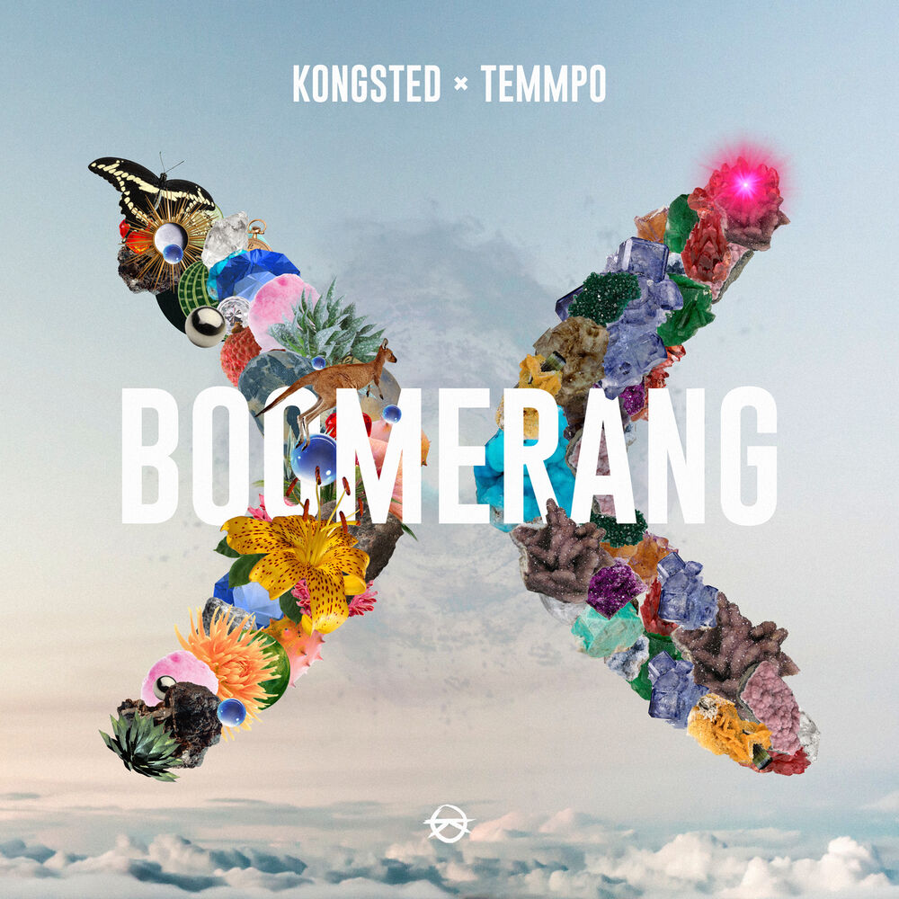 Picture of Boomerang