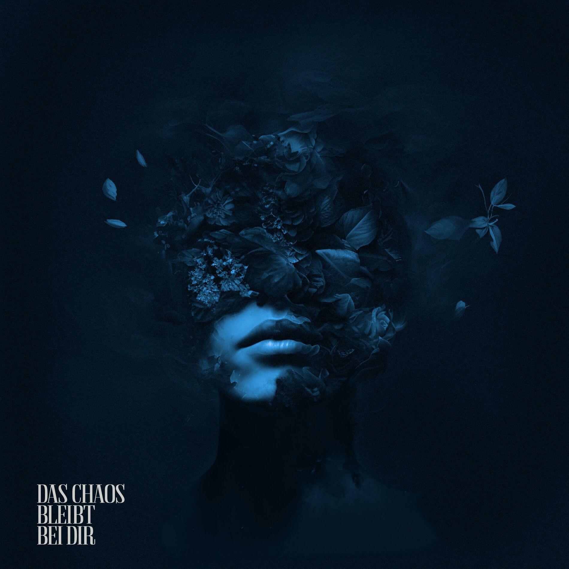 Album cover of Das Chaos bleibt bei dir