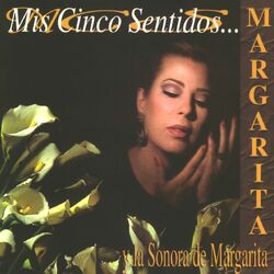 Cover of Mis cinco sentidos