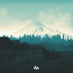 Cover of Wonder