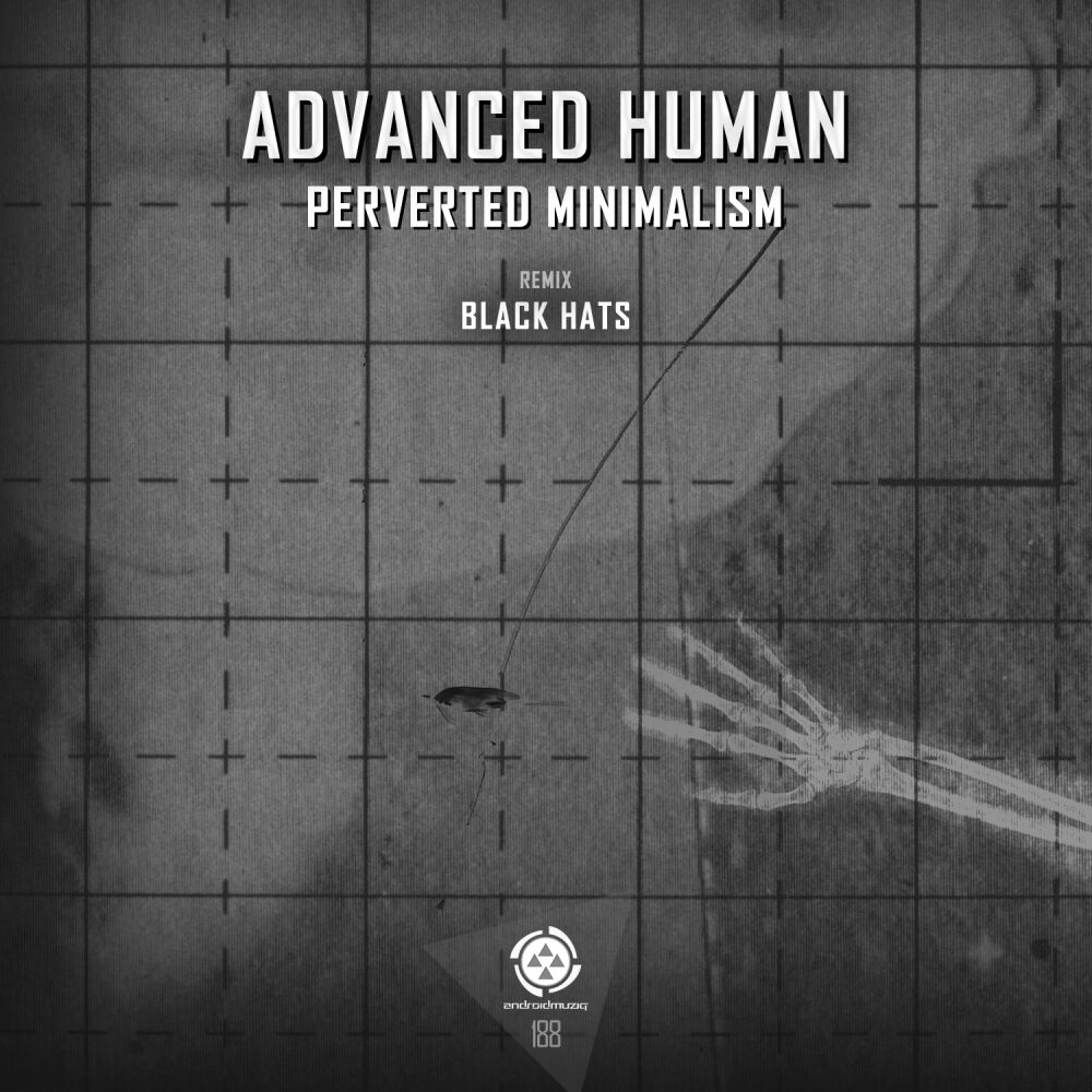 Picture of Perverted Minimalism