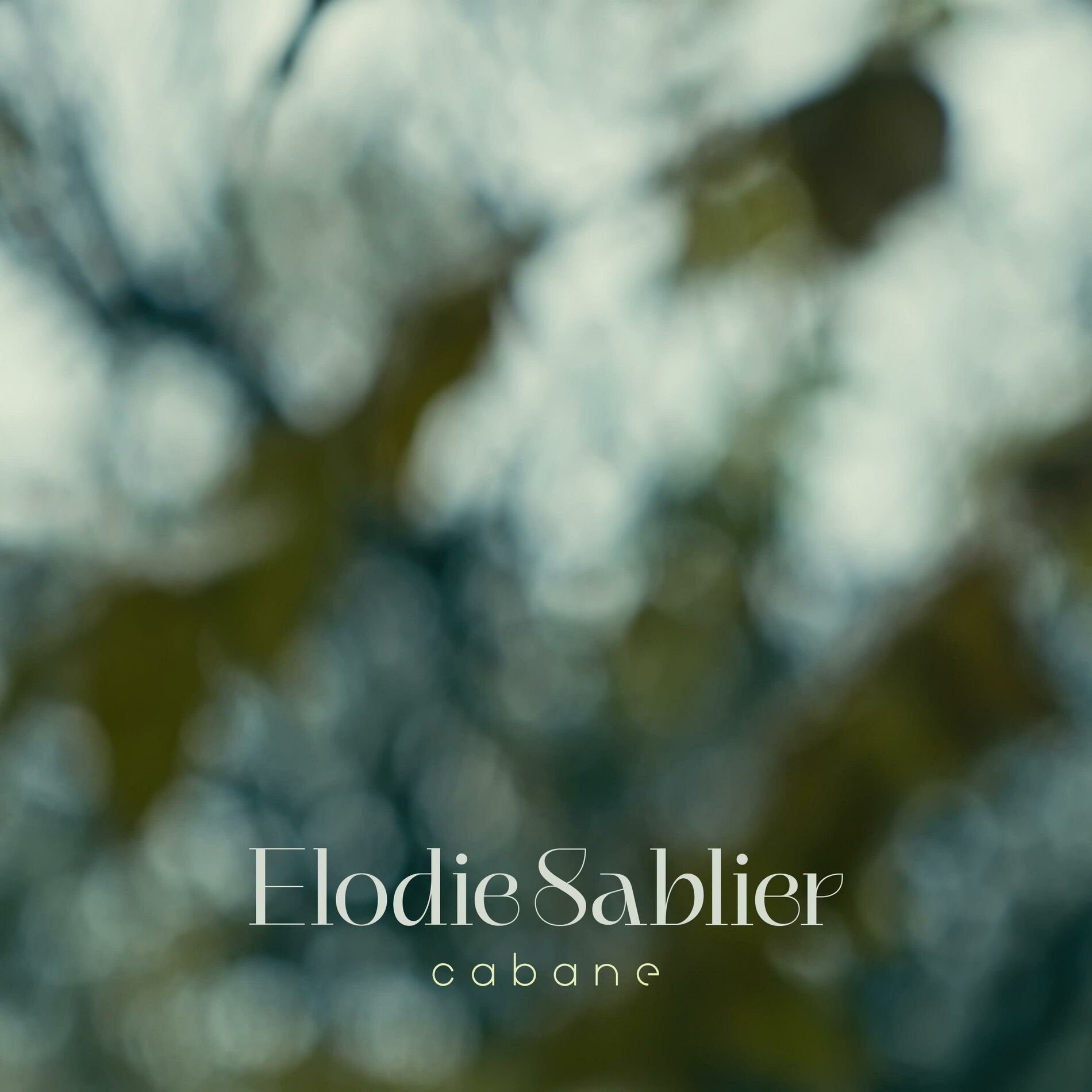 Album cover of Cabane