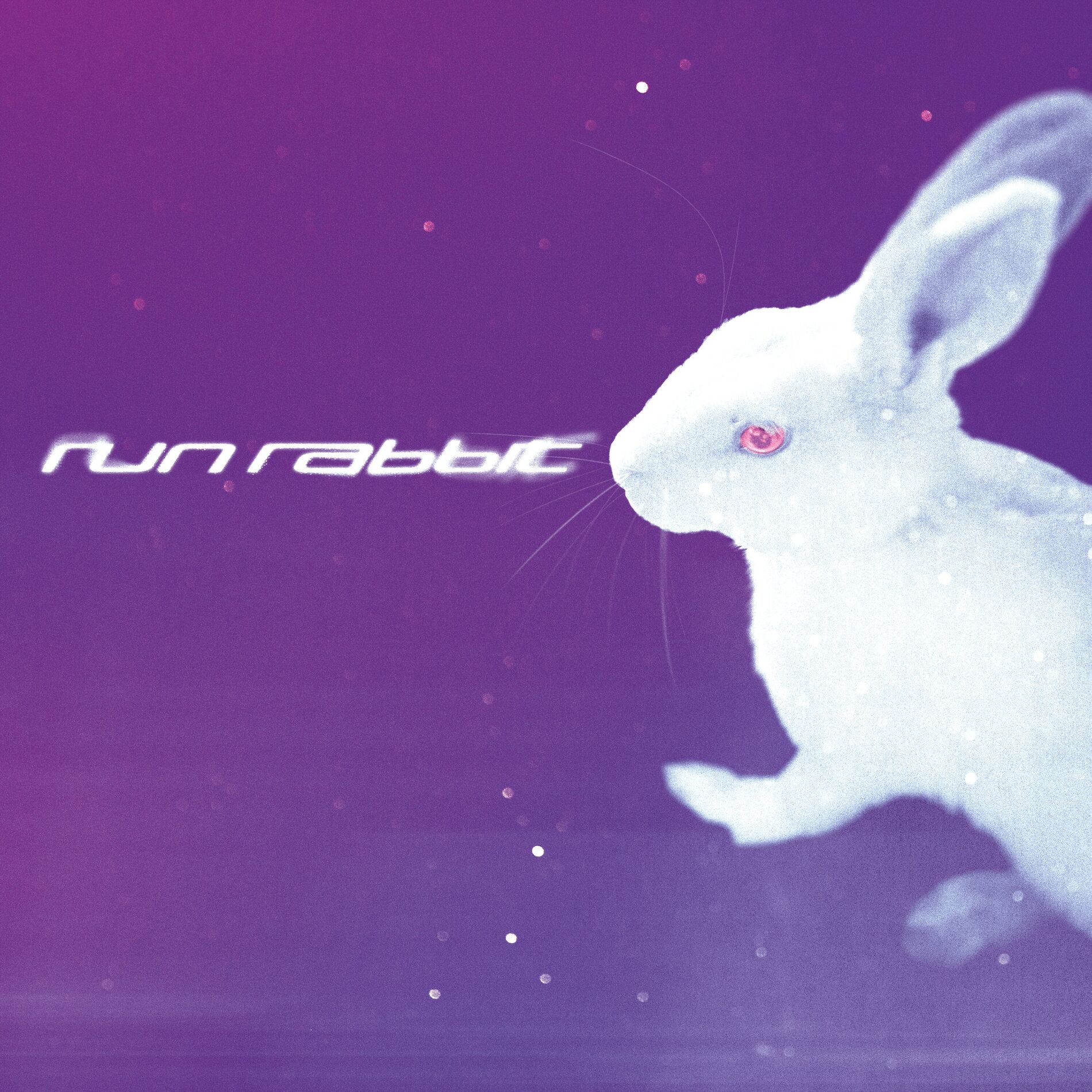 Album cover of Run Rabbit