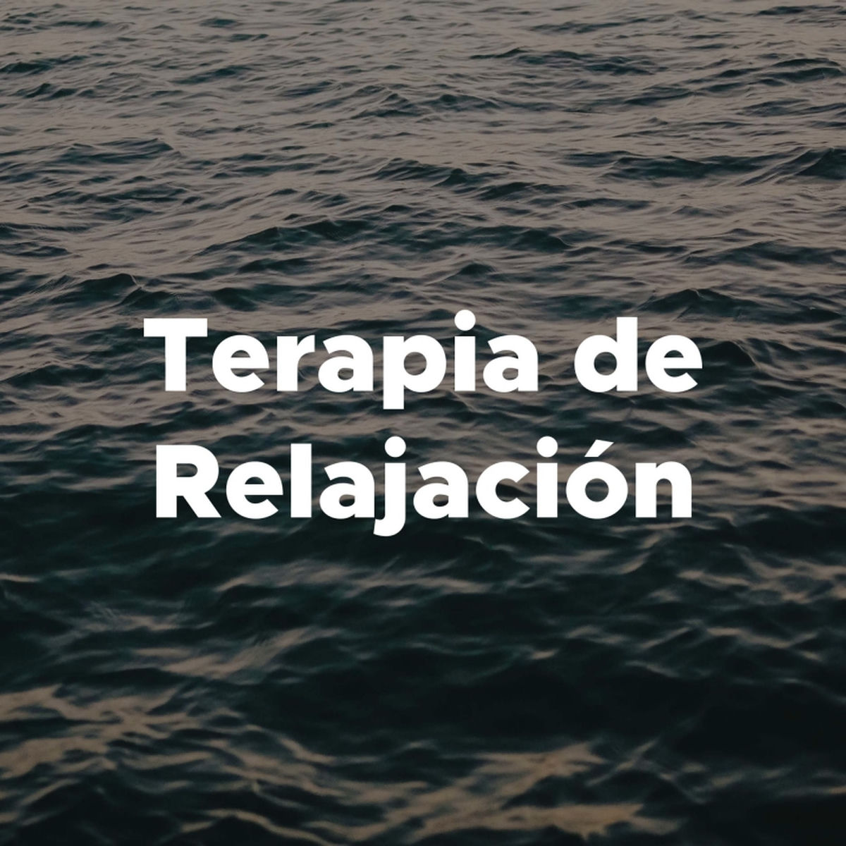Album cover of Terapia De Relajacion - Relajacion Mental Emocional, Musica Suave