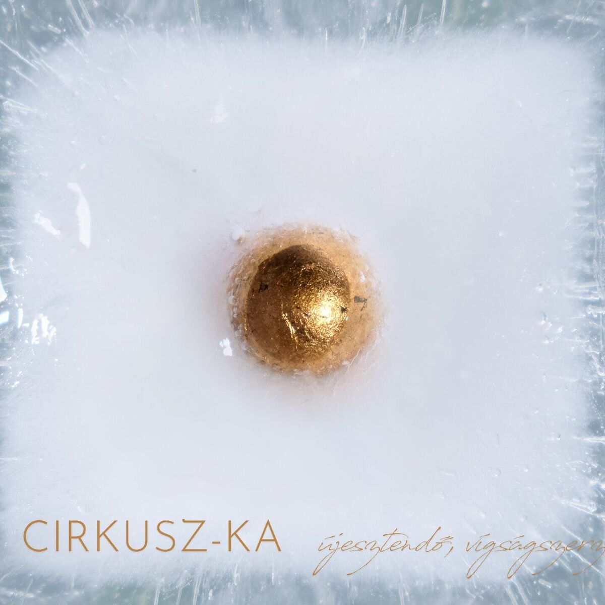 Album cover of Újesztendő, vígságszerző