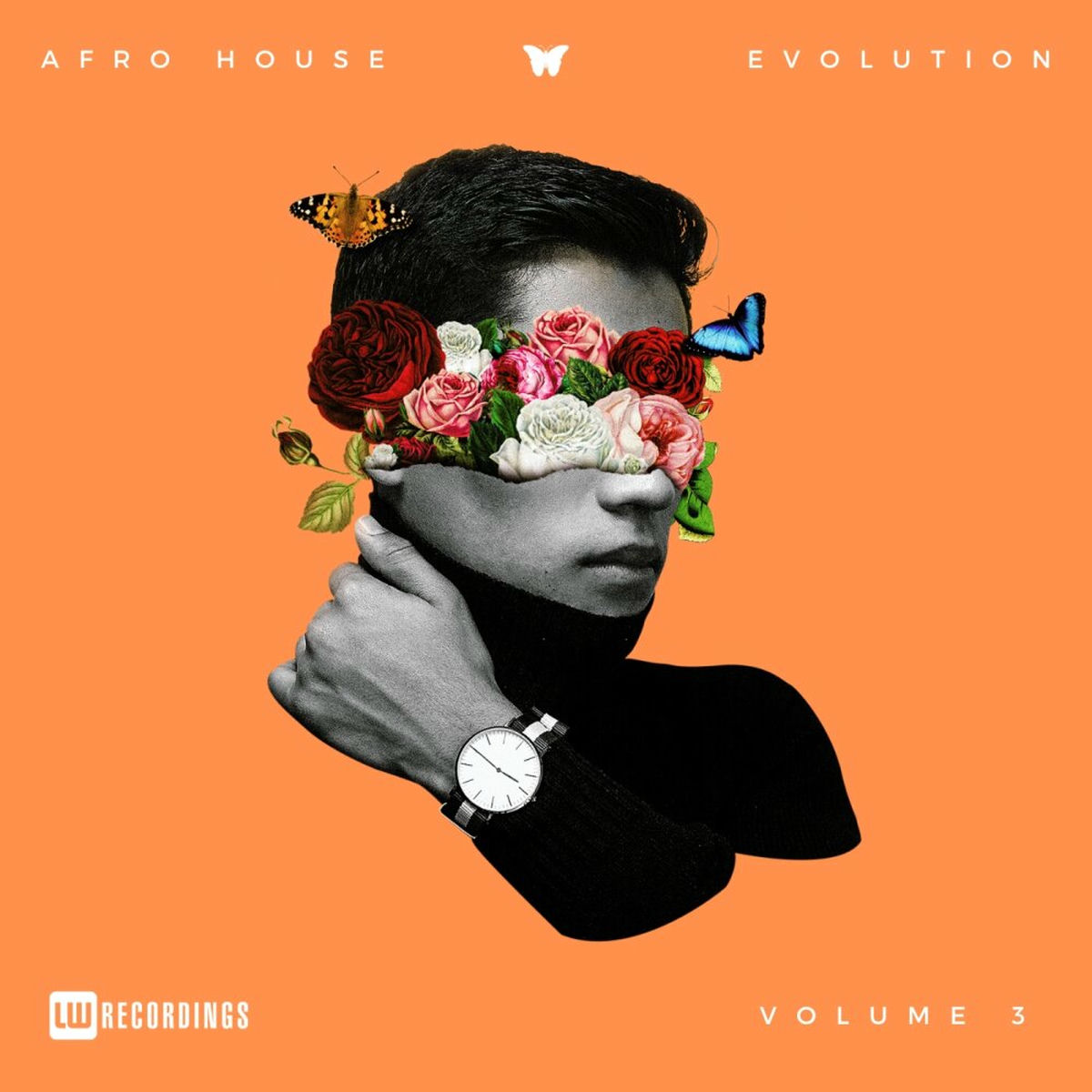 Album cover of Afro House Evolution, Vol. 03