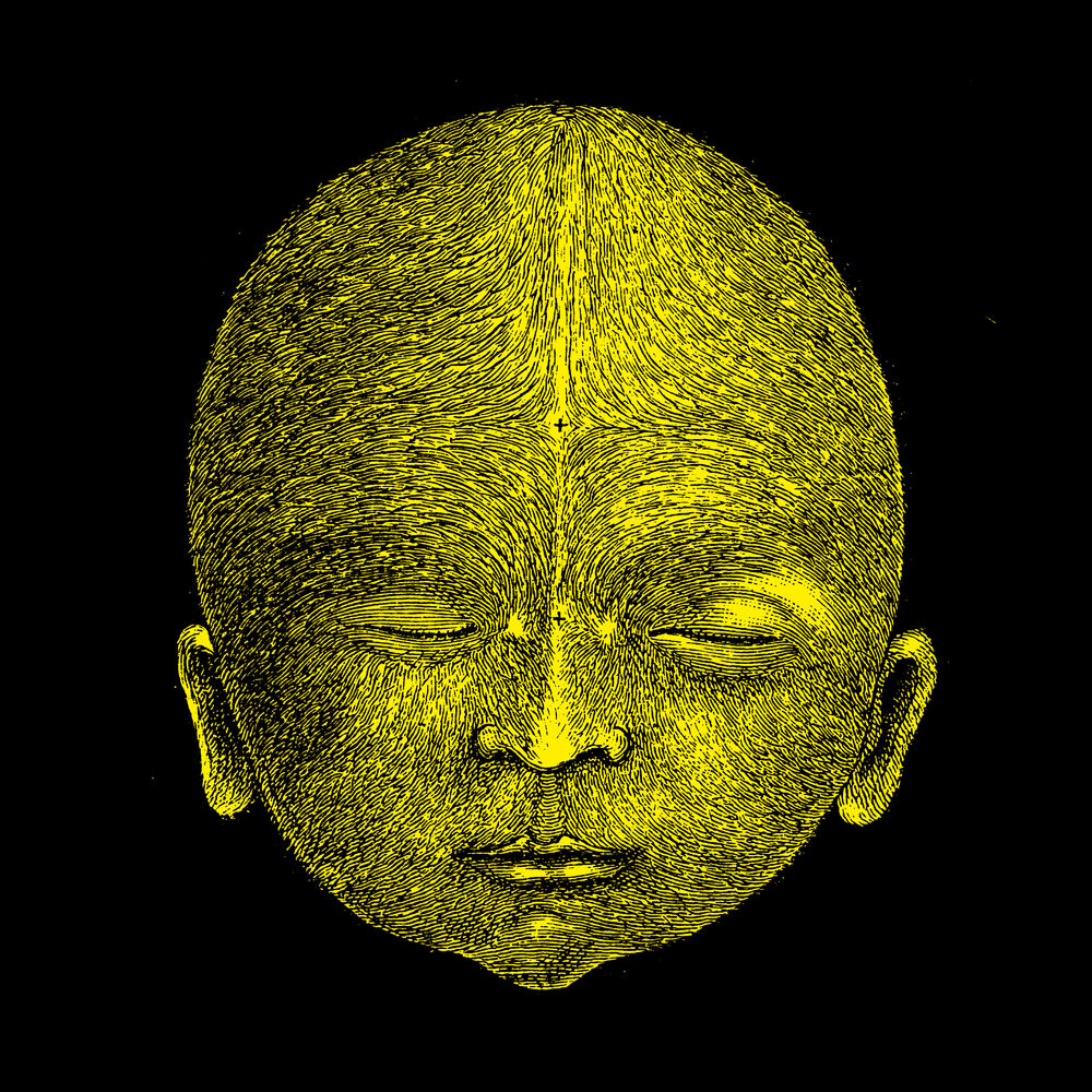 Picture of Face Like a Skull