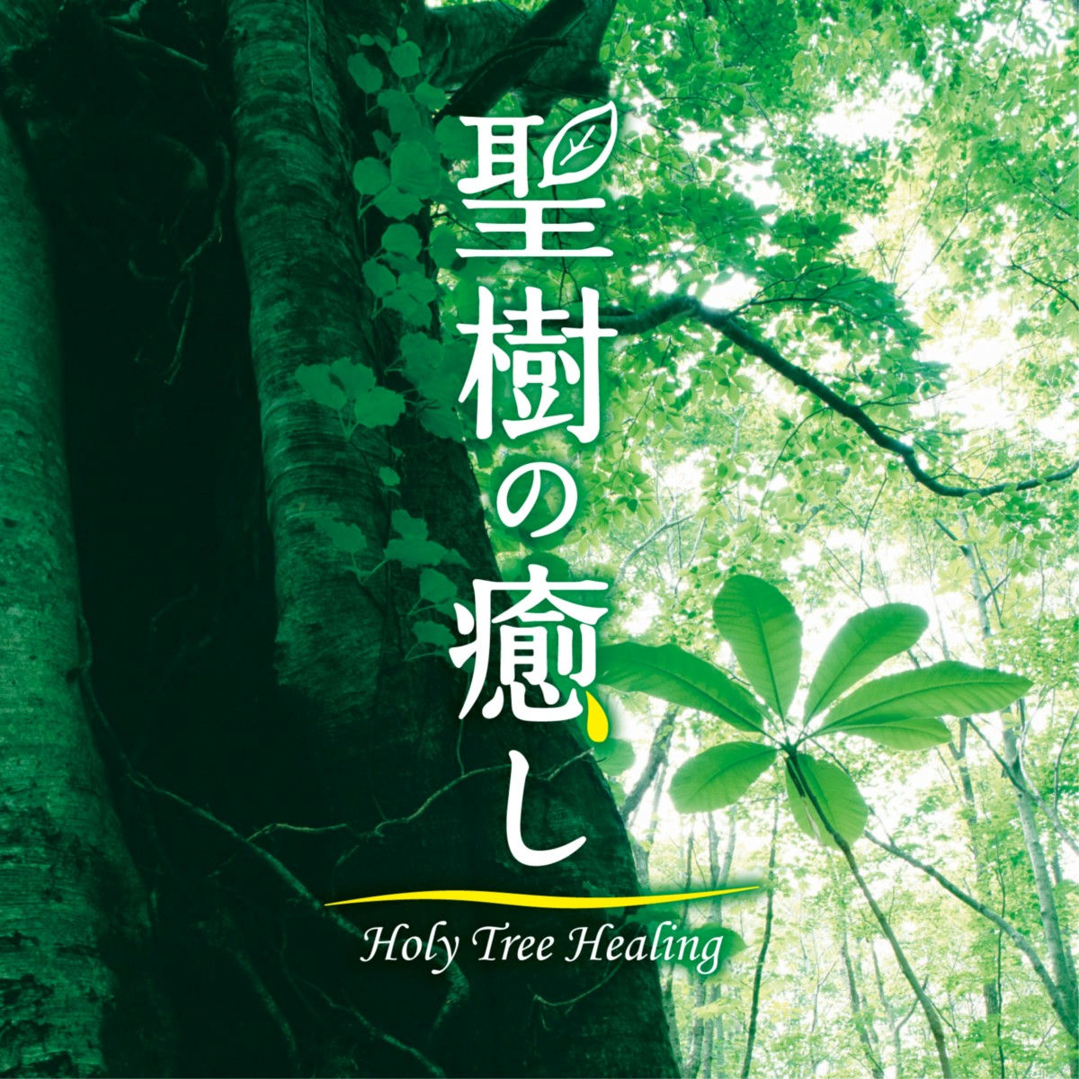 Album cover of The Song of Holy Forest