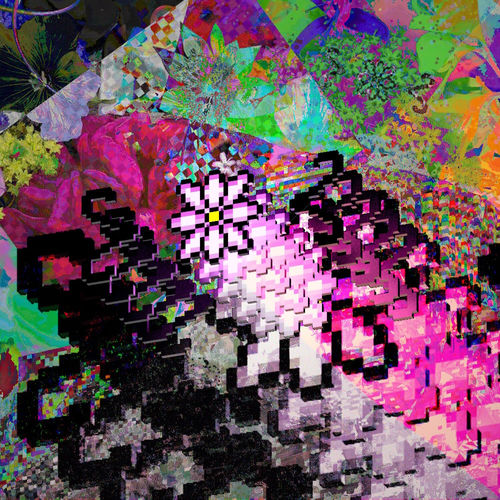 Flower5
