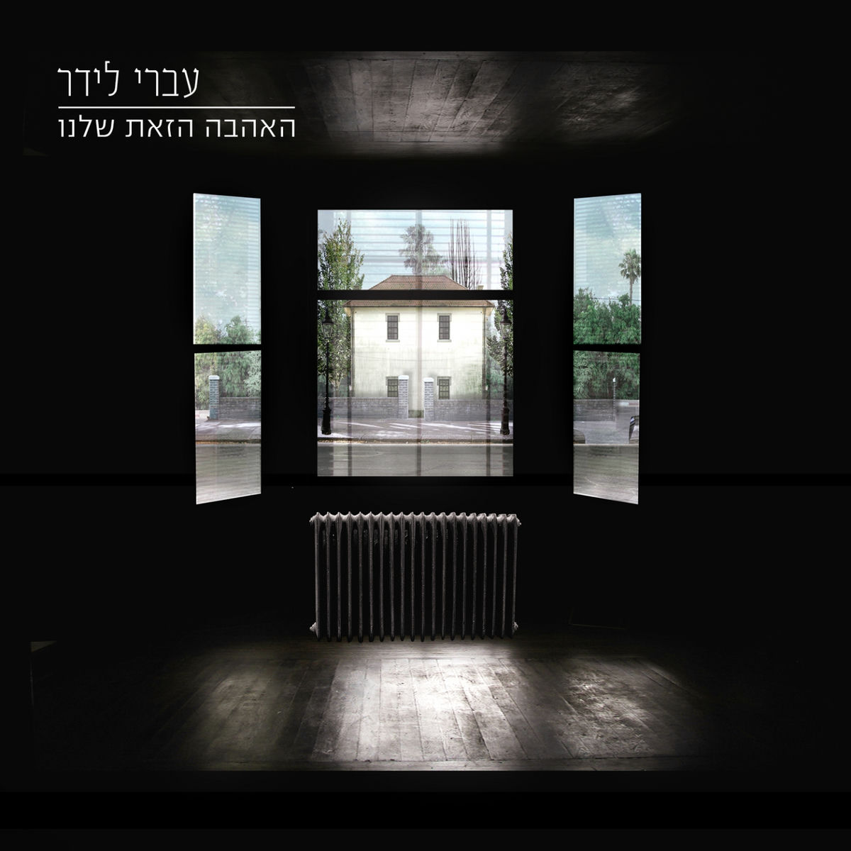 Album cover of האהבה הזאת שלנו