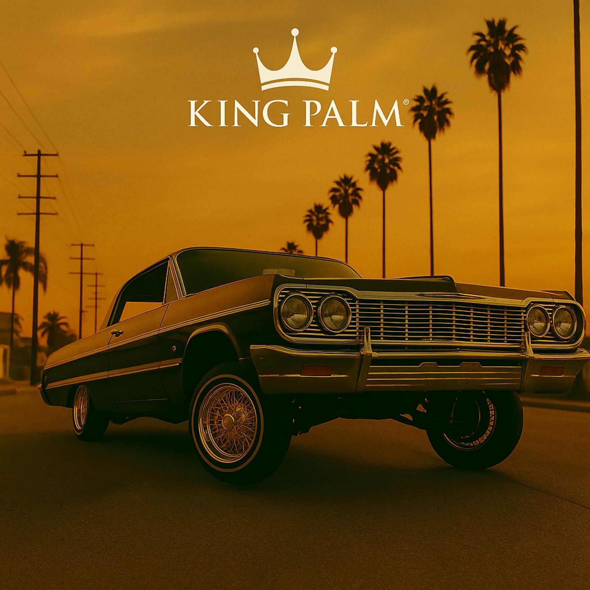Album cover of King Kong (feat. Trizz)