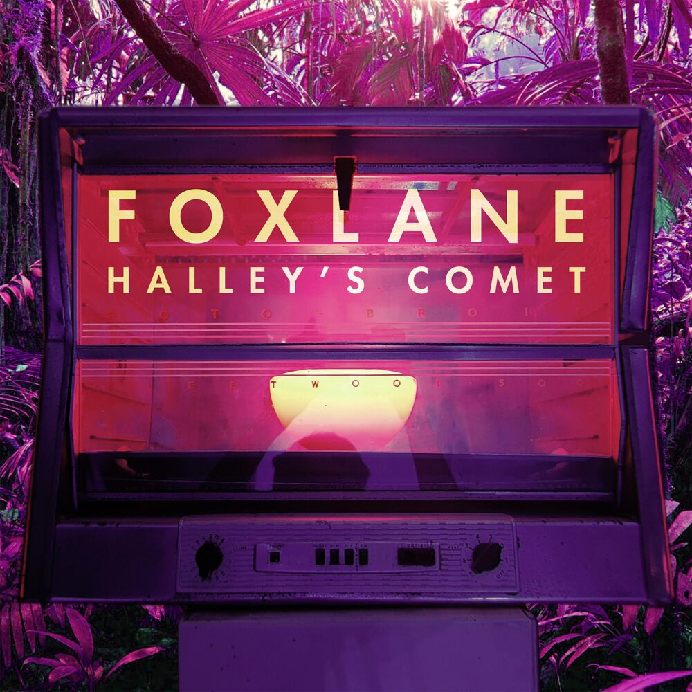 Picture of Halley's Comet
