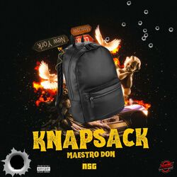 Cover of Knapsack