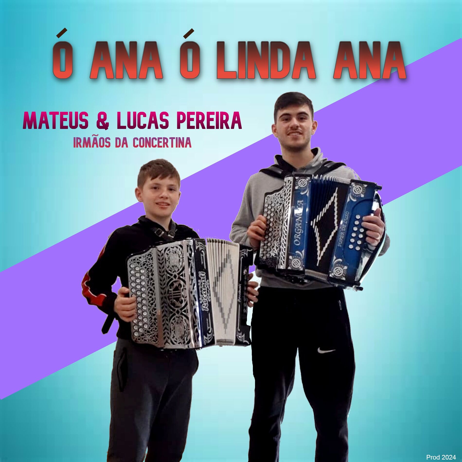 Album cover of Ó Ana Ó Linda Ana (Instrumental Version)