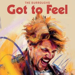Cover of Got to Feel