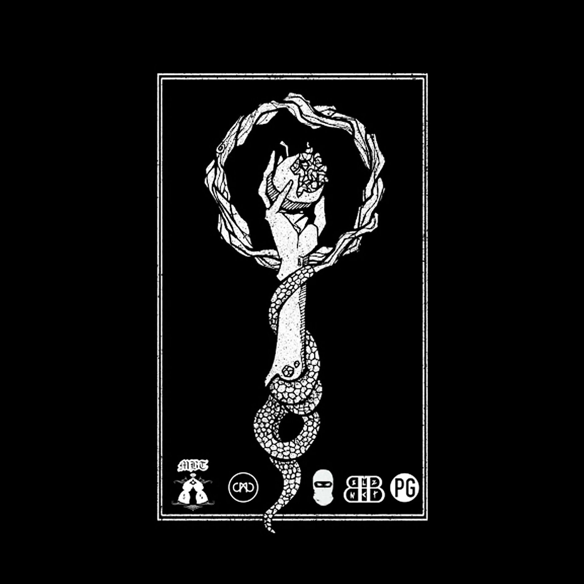 Album cover of H5N1 (feat. BB & PG)