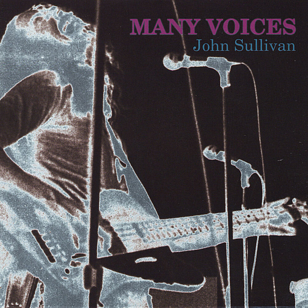 Picture of Many Voices