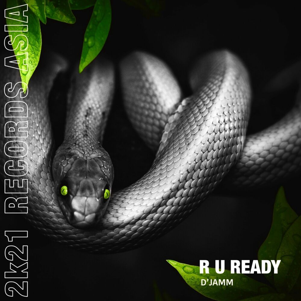 Picture of R U Ready