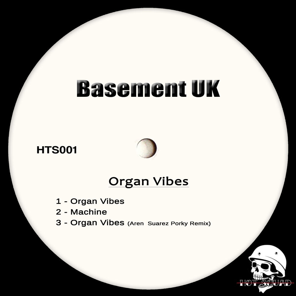 Picture of Organ Vibes