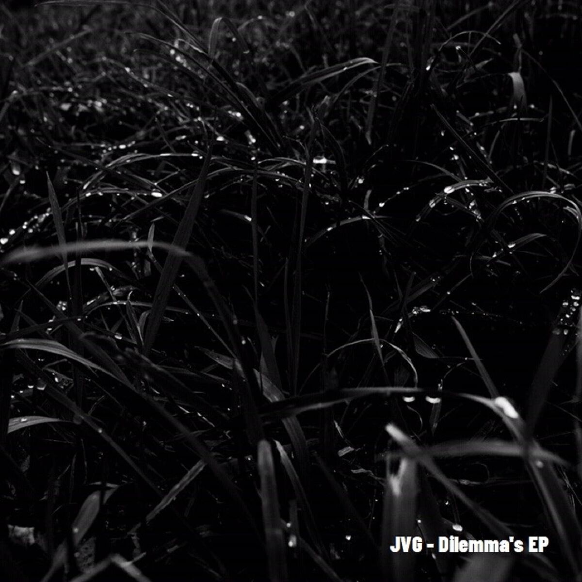 Album cover of Dilemma's Ep