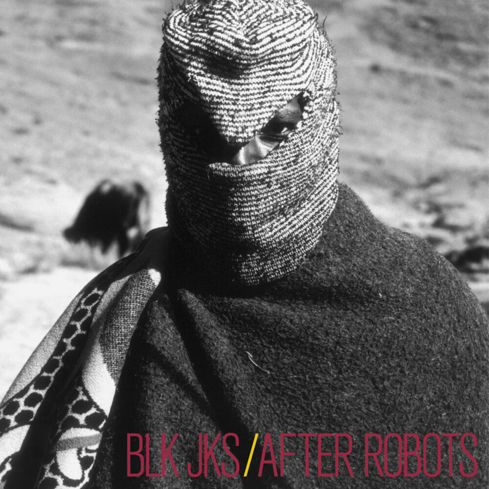 Picture of After Robots