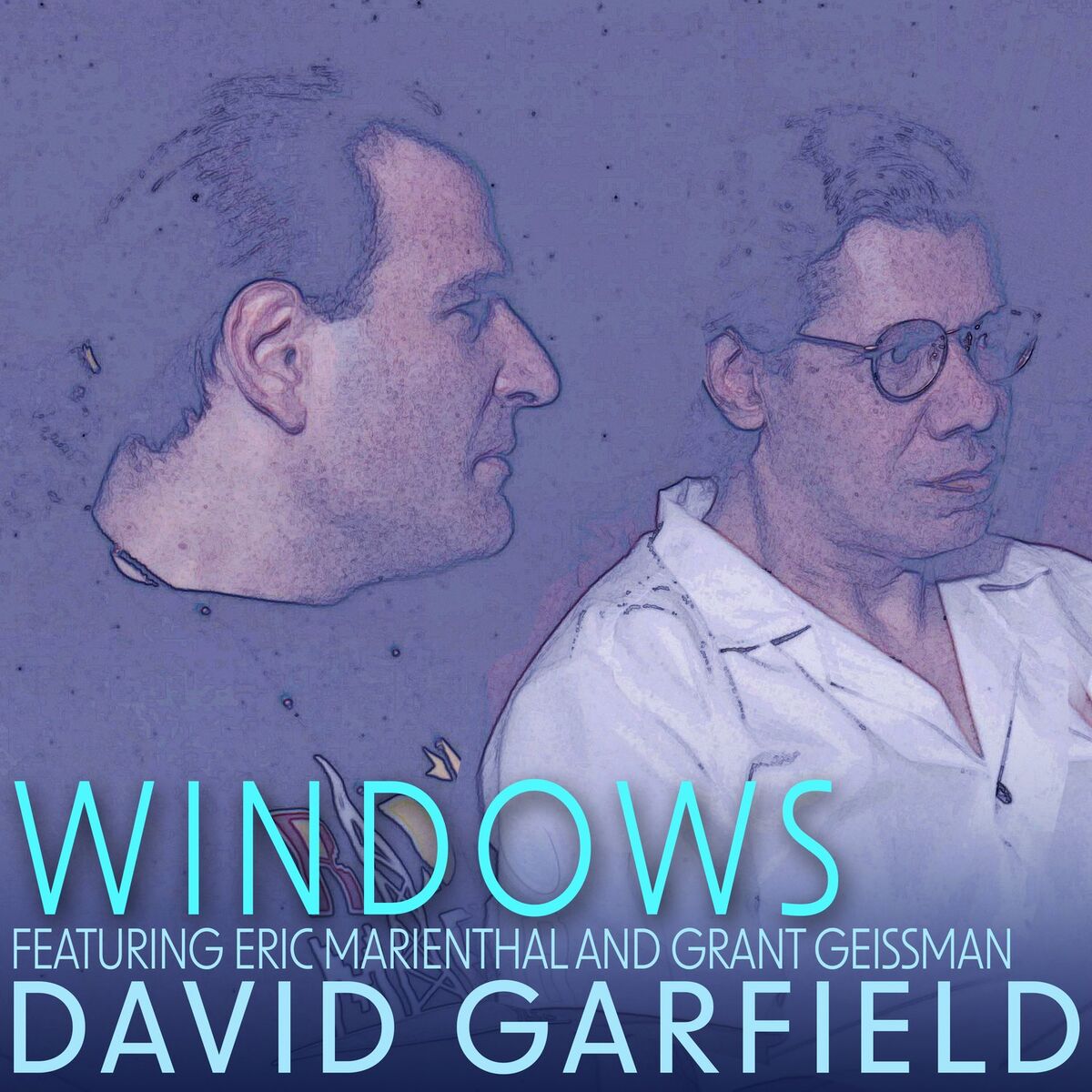 Album cover of Windows