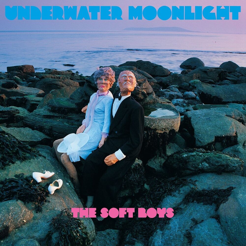 Picture of Underwater Moonlight