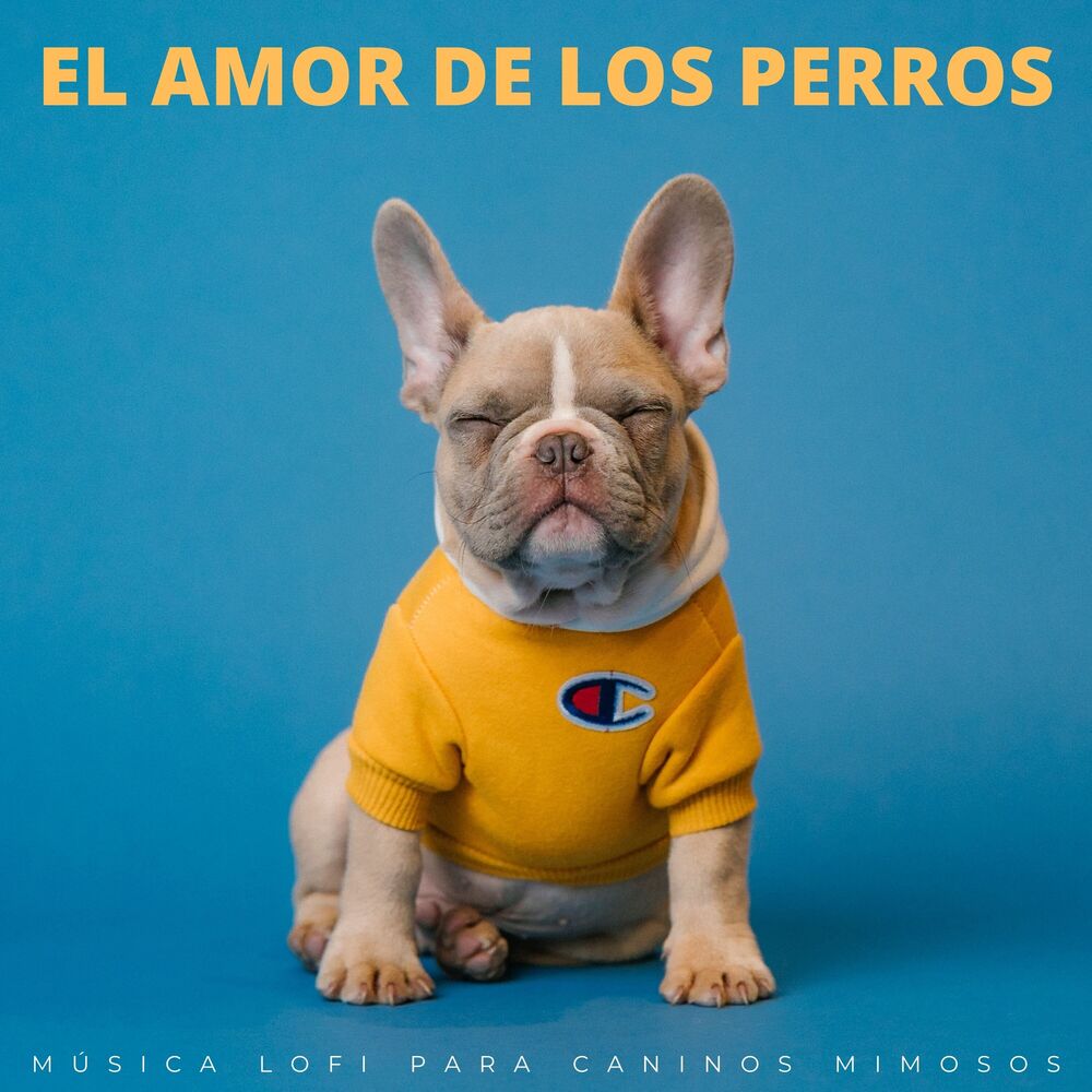 Picture of El Amor De Los Perros: Música Lofi Para Caninos Mimosos