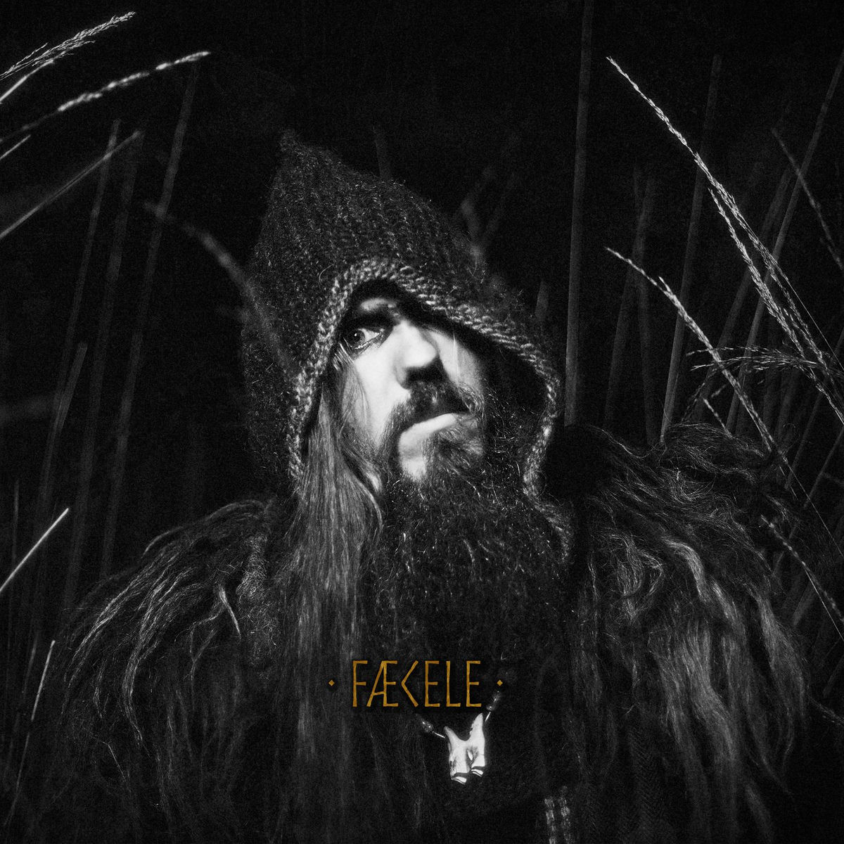 Album cover of Fæcele