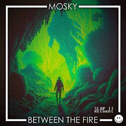 Cover of Between The Fire
