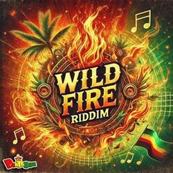 Cover of Wild Fire Riddim