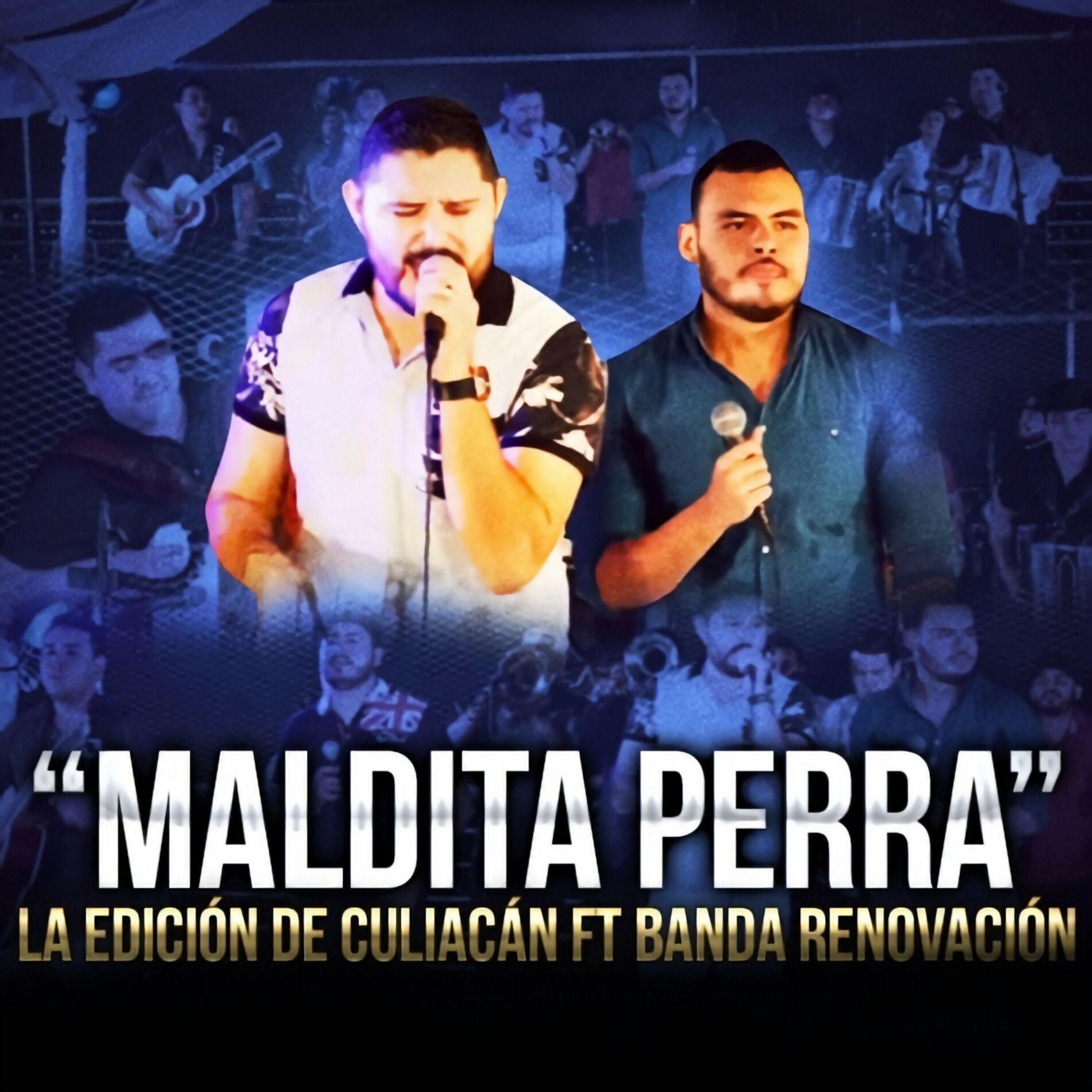 Album cover of Maldita Perra (En Vivo)