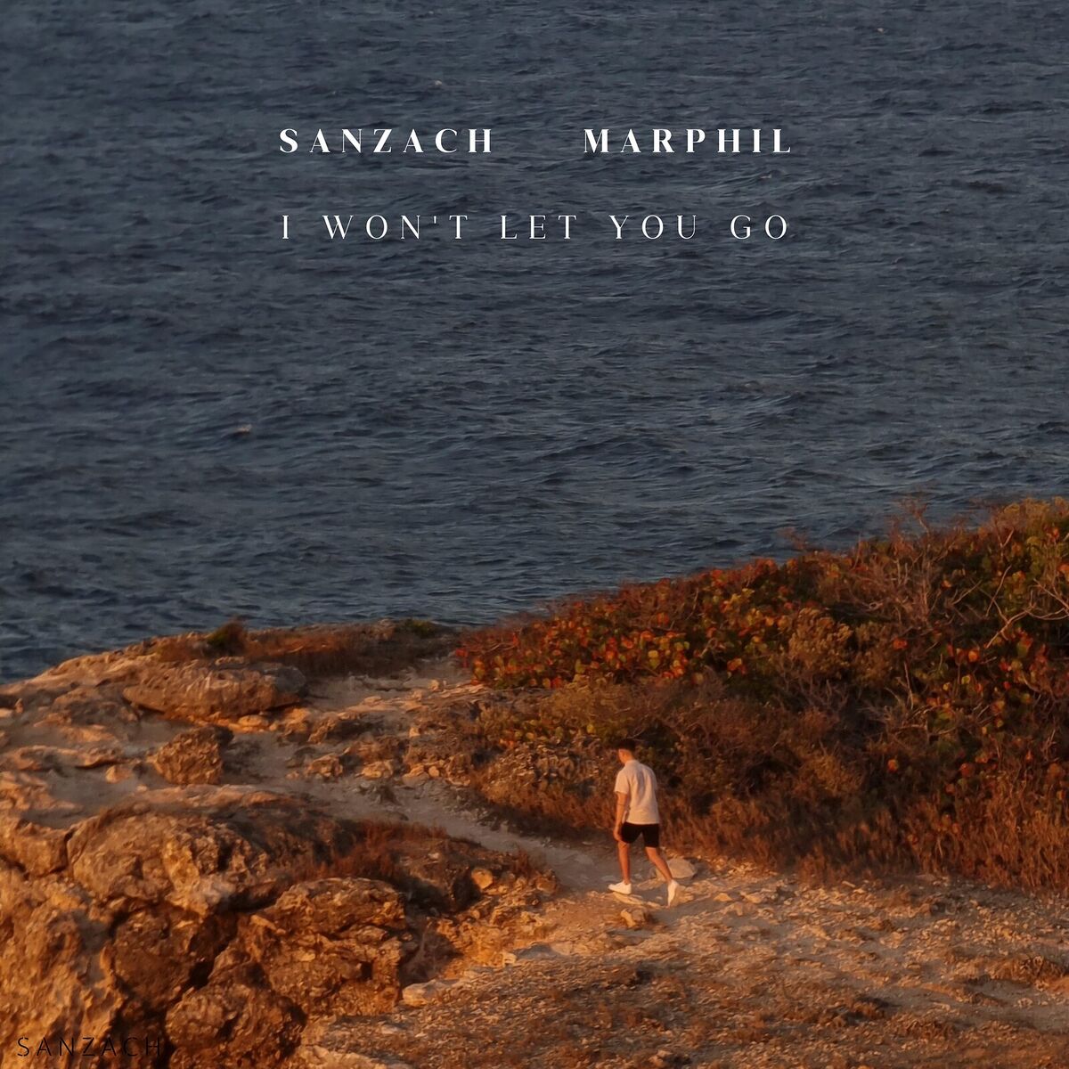 Album cover of I Won't Let You Go