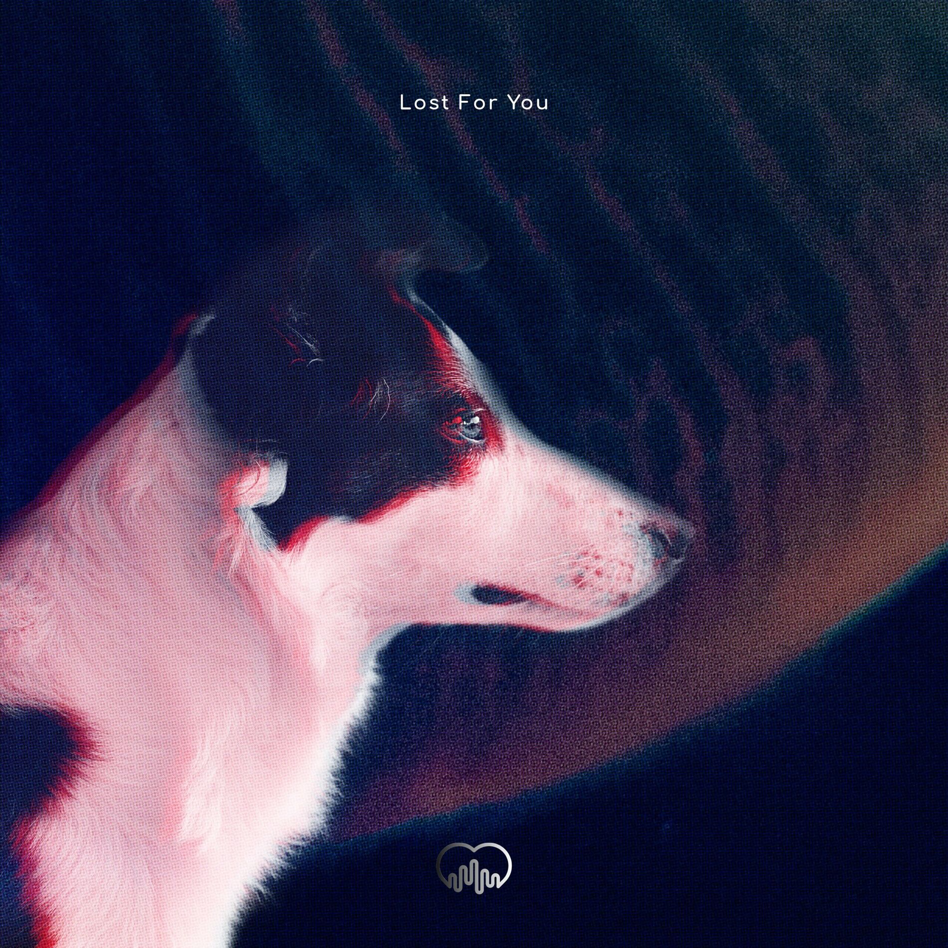 Album cover of Lost for You
