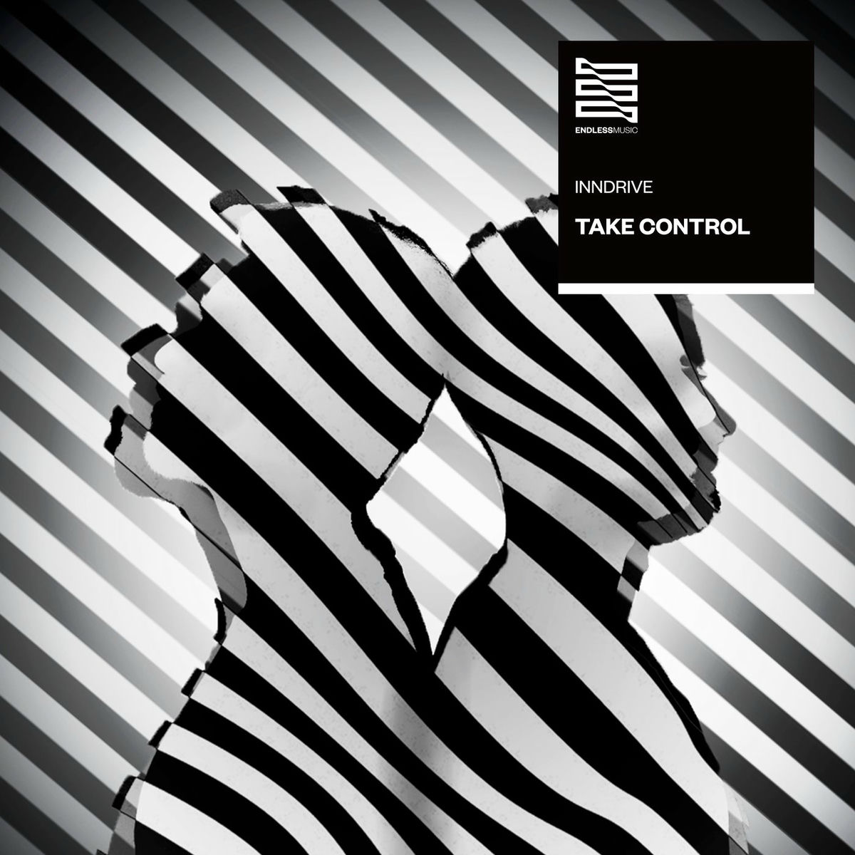 Album cover of Take Control