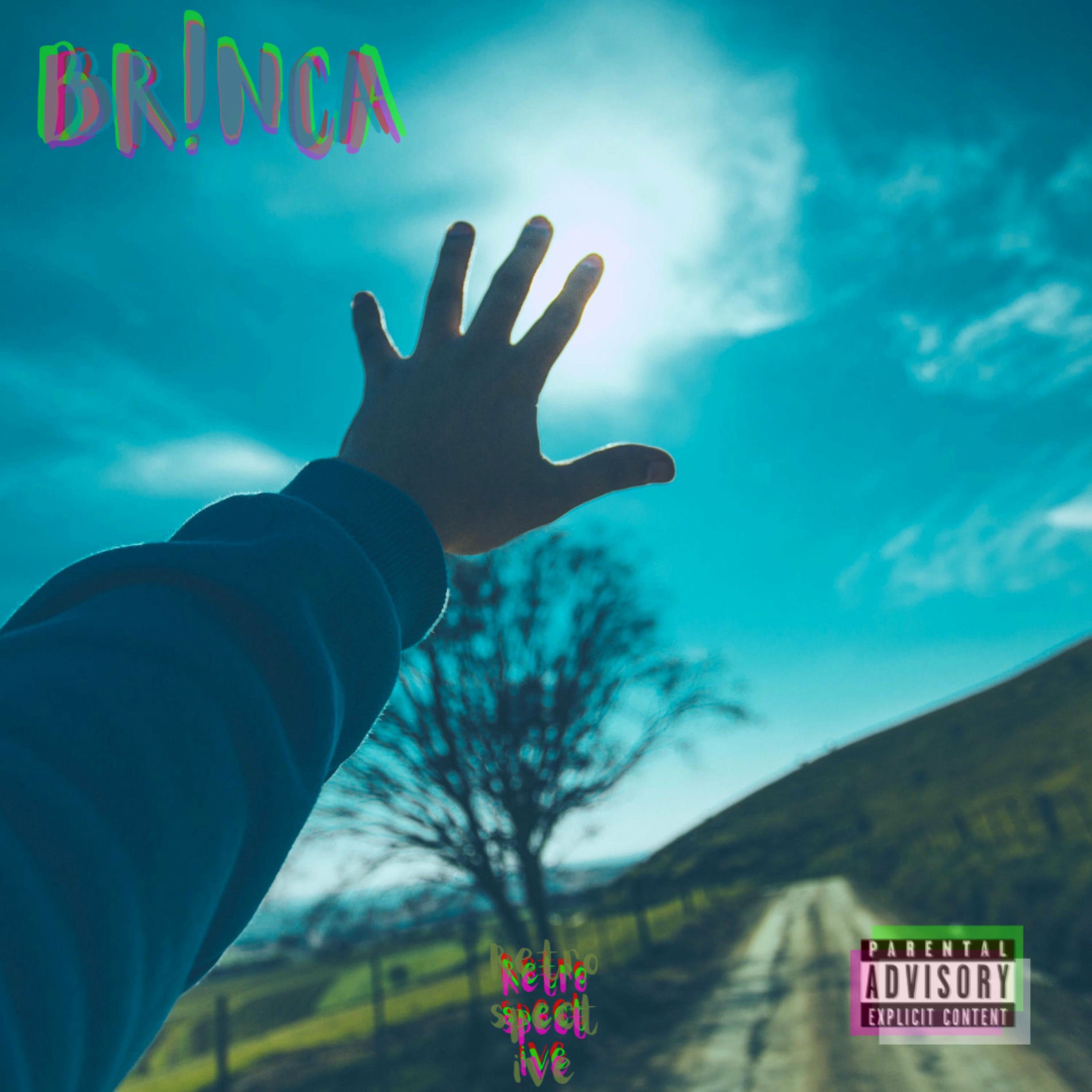 Album cover of BR!NCA