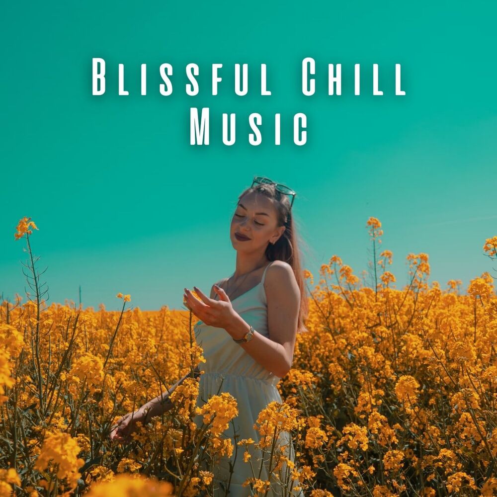 Picture of Blissful Chill Music