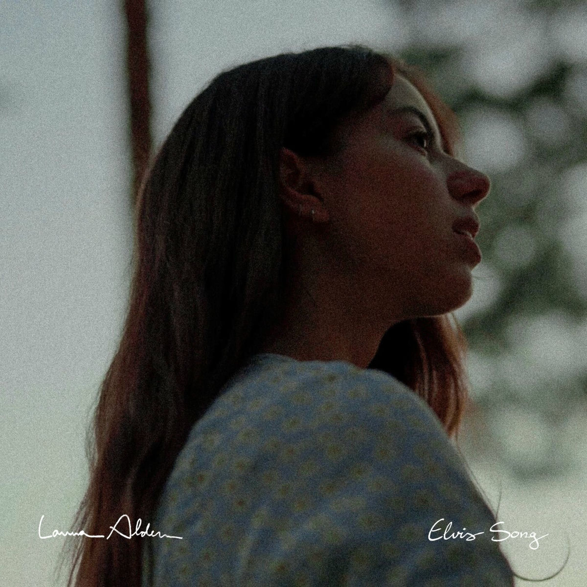 Album cover of Elvis Song