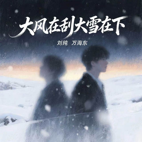 大风在刮大雪在下