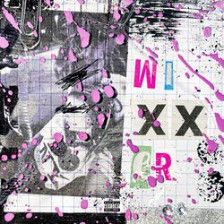 Cover of Wixxer