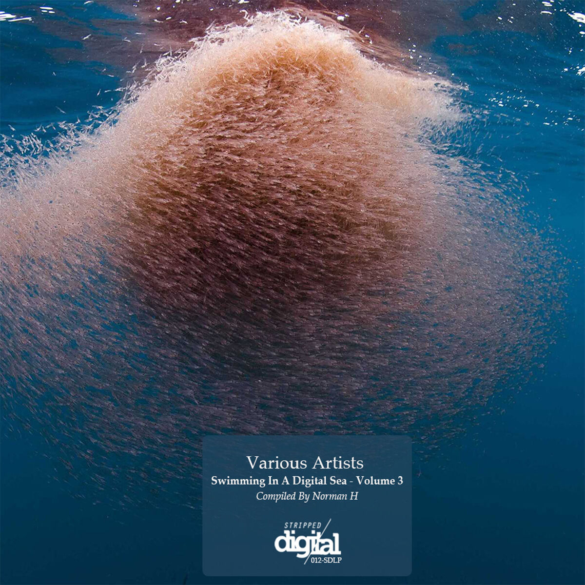Album cover of Swimming In A Digital Sea, Vol. 3: Compiled By Norman H