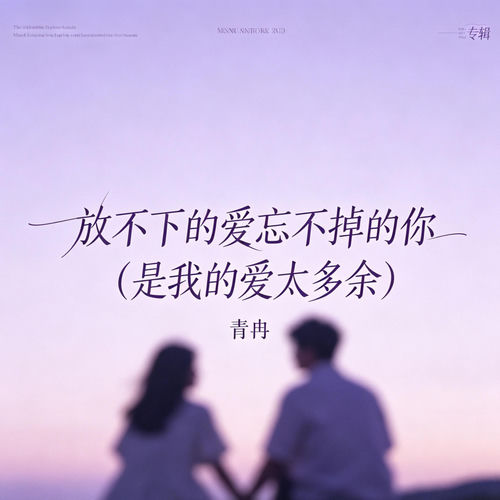 放不下的爱忘不掉的你(是我的爱太多余)